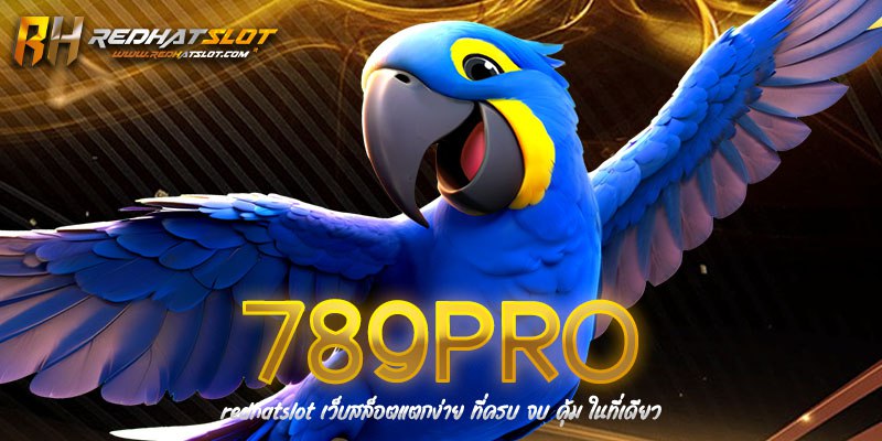 789PRO เว็บพนันออนไลน์ครบวงจร มั่นคง ปลอดภัย ใช้งานง่าย 2025
